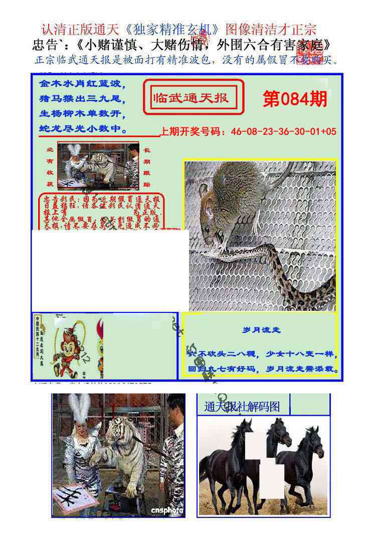 084期临武通天报[图]