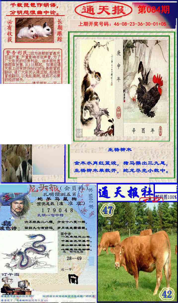 084期实力通天报[图]