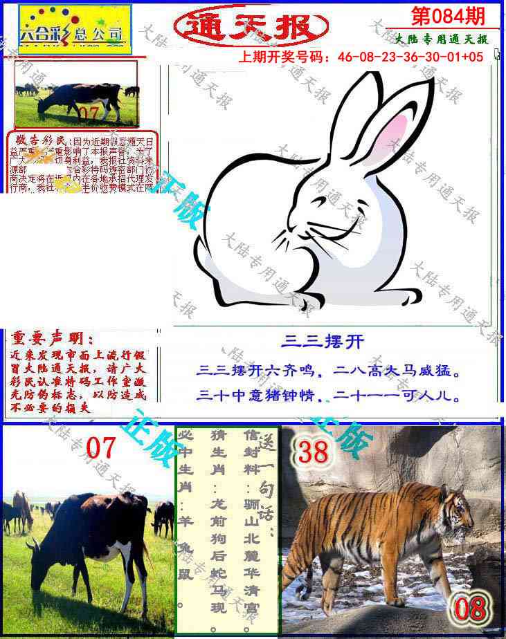 084期大陆通天报[图]